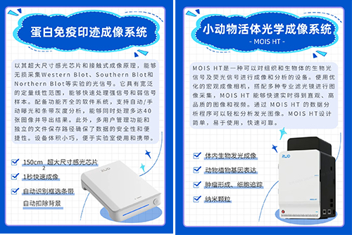 CNS 2024九游老哥俱乐部登录参展精彩瞬间