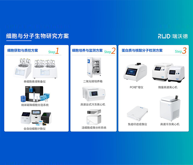 九游老哥俱乐部登录细胞分子